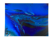 Load image into Gallery viewer, Steller's Jay