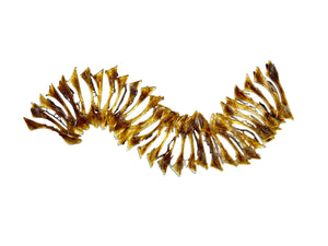 Kevin Creekmore Amber Spine