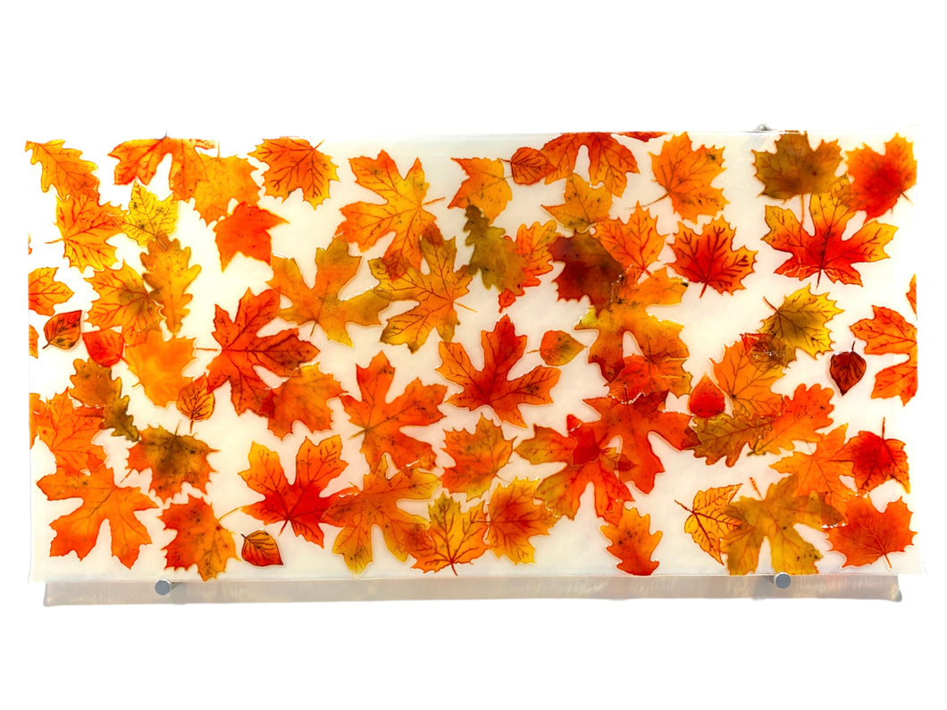 Kevin Creekmore Fall Leaves